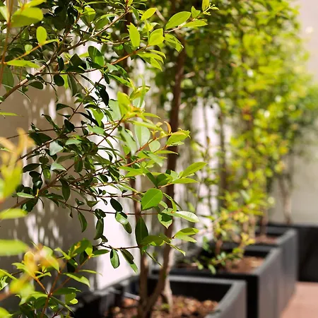 Apartamento Casa Mercader - Simaba Group Barcelona